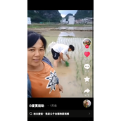 我家公子会插秧了喔梗是什么意思详情