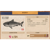 潜水员戴夫虎鲨怎么抓
