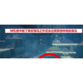 潜水员戴夫海马在哪