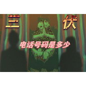 三伏电话号码是多少