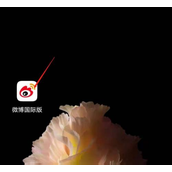 《微博》国际版怎么看个人资料