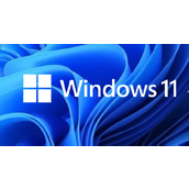 Win11怎么过滤错误日志