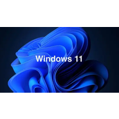 Win11电脑内存怎么查看