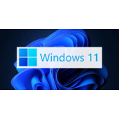 Win11怎么限制后台下载更新的速度