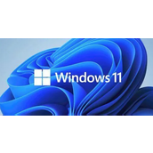 Win11怎么设置电脑开机密码