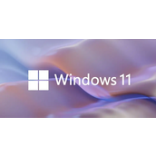 Win11怎么打开任务栏管理器