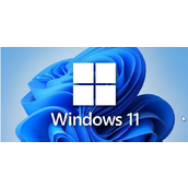 Win11怎么创建桌面快捷方式