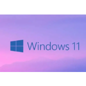 win11盾牌图标怎么去除