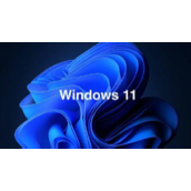 Win11 mmc无法创建管理单元