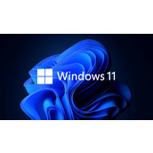 Win11怎么查看显卡功耗