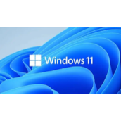 Win11启用新的搜索框方法