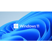Win11提示Outlook搜索错误怎么办