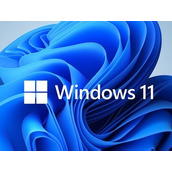 Win11专业工作站版与专业版的区别