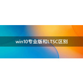 Win10专业版与LTSC有什么区别