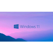 Win11动态刷新率怎么开