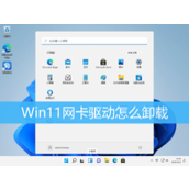 Win11卸载网卡驱动