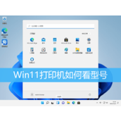 Win11查看打印机型号