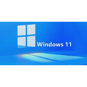 Win11没有tpm怎么升级