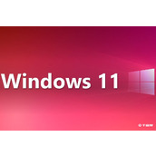 Win11安装安卓应用教程