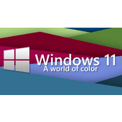 Win11符合条件没有推送解决方法
