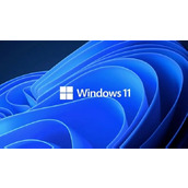 Win11卸载更新教程