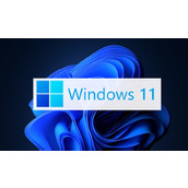 Win11更改任务栏颜色