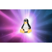Linux处理目录的常用命令有哪些