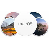 Mac设置截图保存位置在哪