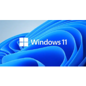 Win11关闭自动更新方法