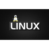 Linux文件属性修改
