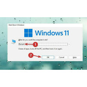 win11触控板用不了解决教程