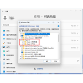 Win11安卓模拟器因兼容性问题无法启动解决教程