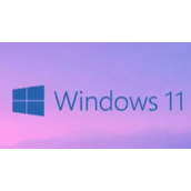 用u盘装win11一直卡在请稍等怎么办