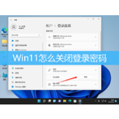 win11怎样关闭取消登录密码