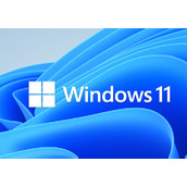 Win11 修复本地安全机构保护(LSA)误报问题