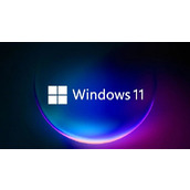 win11关闭自动更新有什么坏处