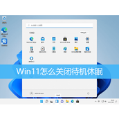 Win11怎么关闭待机休眠