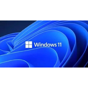 Win11怎么格式化C盘