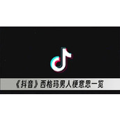抖音西格玛男人梗意思一览