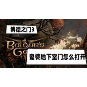 博德之门3鬼婆地下室门怎么打开