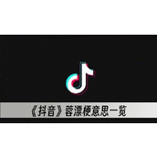 抖音蓉漂梗意思一览