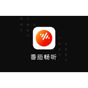 《番茄畅听》怎么看文字