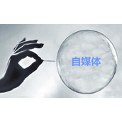 这些影响微信公众号寿命的事你做过多少?
