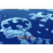 浅谈网站排名和文章的逻辑关系