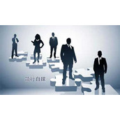 SEO优化的思维有哪些惯性陷井?