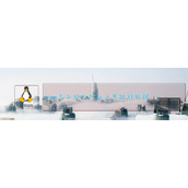 Linux如何给文件权限? linux给文件添加可执行权限的技巧