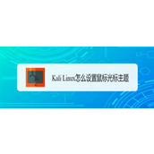 Kali Linux鼠标光主题怎么修改? 修改鼠标光标主题的技巧