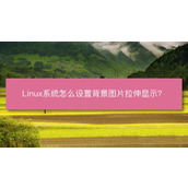 Linux桌面背景怎么设置为图片拉伸显示?