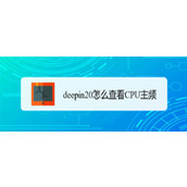 cpu主频怎么看? deepin20查看CPU主频的技巧