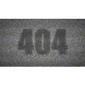 Canvas如何做个雪花屏版404的实现